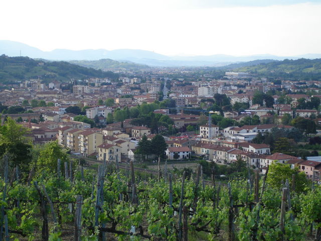 Il panorama della città di Montevarchi