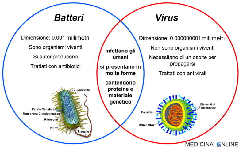 La tabella dei virus e batteri eliminati con la disinfezione ad ozono